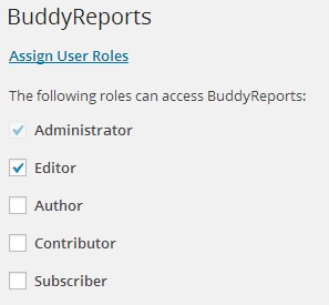 Control role access to BuddyReports